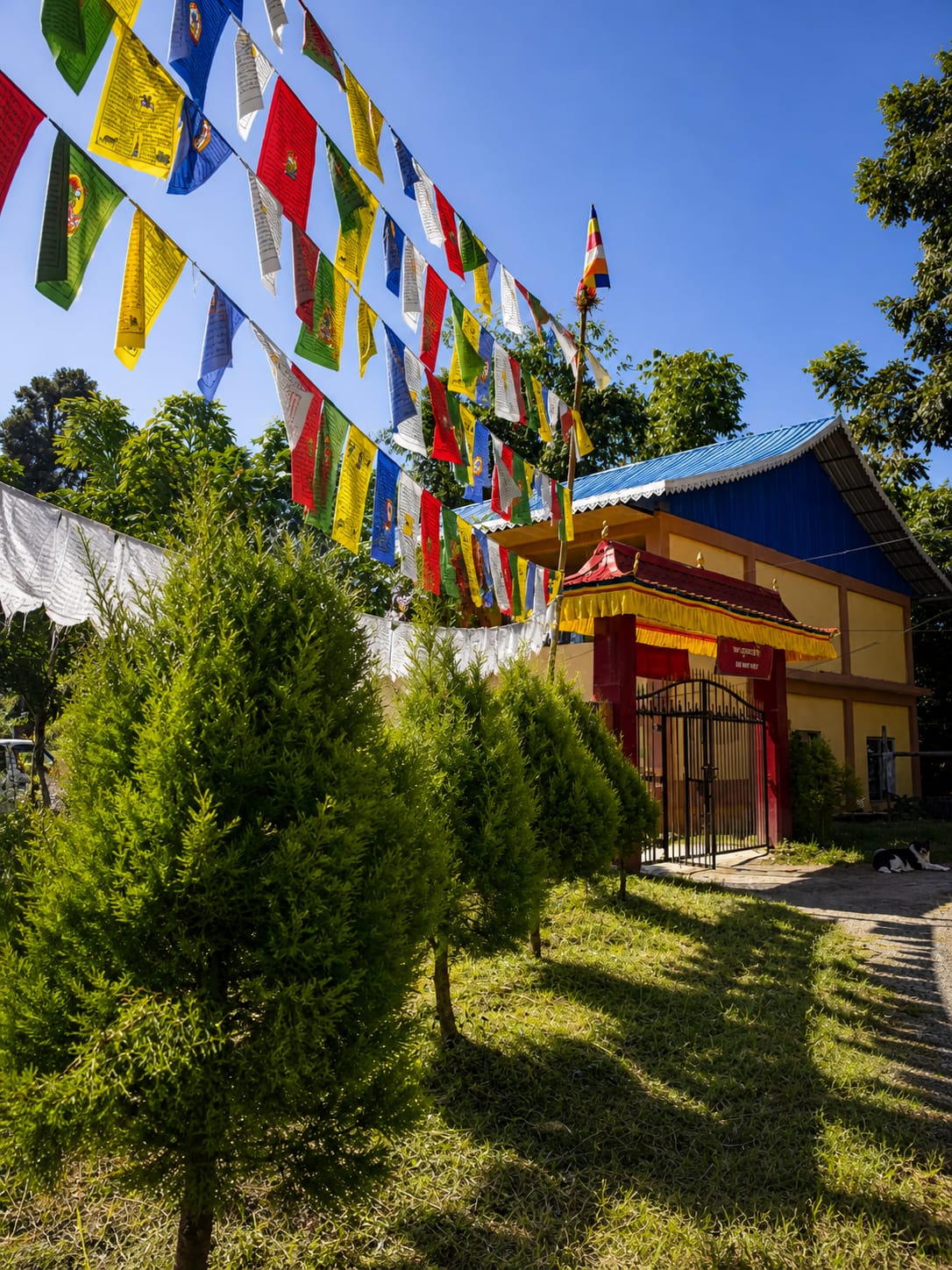 Approach pathway and surroundings of Sangchen Thongdrol Ling (Ging Gompa) in Ging